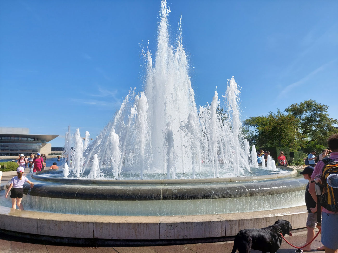 CPH_10